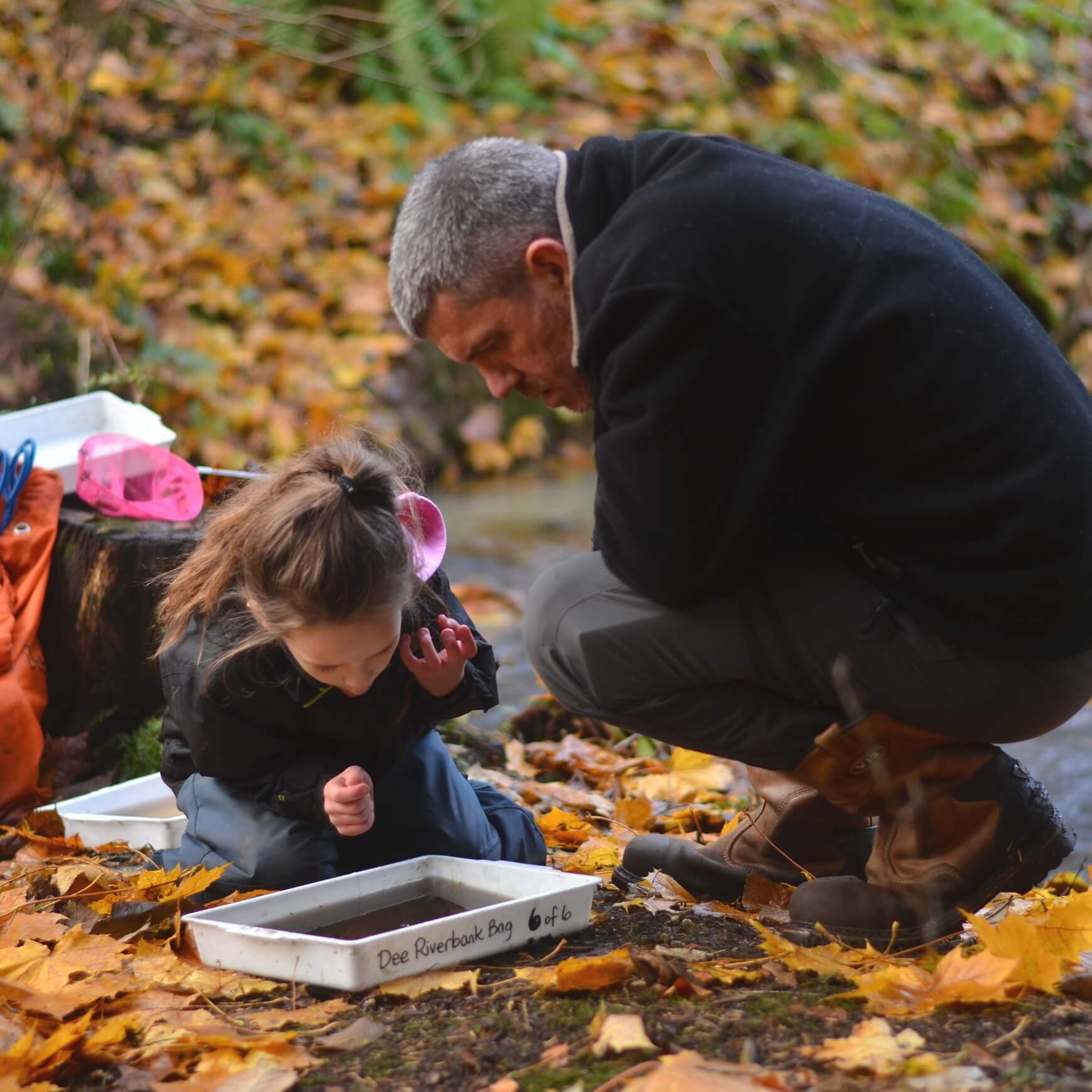 Child discovering water creatures in the woods at Nature Nurture