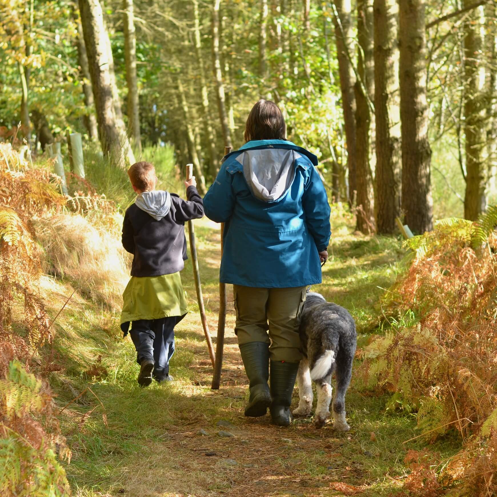 Child and practitioner walking a dog in the woods at Nature Nurture