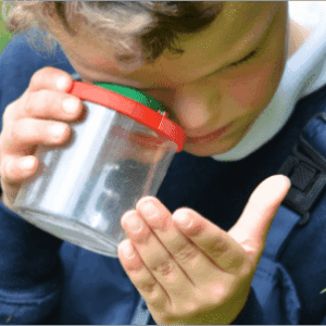 Nature Nurture Approach - Child examines a bug in a magnifier