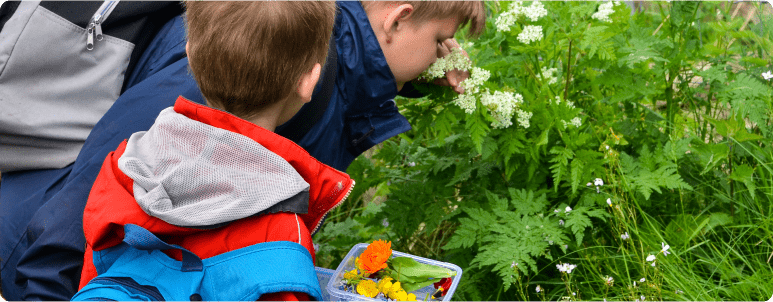 Children identifying flowers