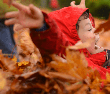 Child playing in leaf pile
