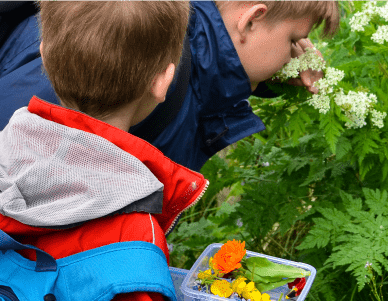 Two children, outdoors, learning about flowers