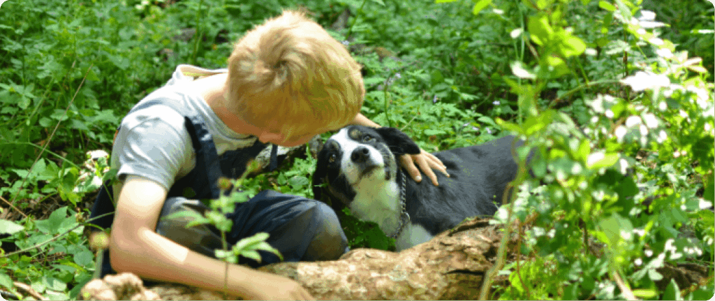 Interaction with animals helps to relieve stress - a child strokes a dog