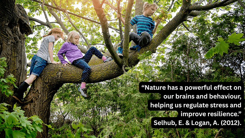 Nature has a powerful effect on our brains and behaviour, helping us regulate stress and improve resilience.
