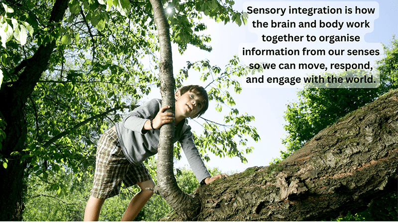 When we talk about sensory integration, we are talking about far more than the five senses we learned about in school.