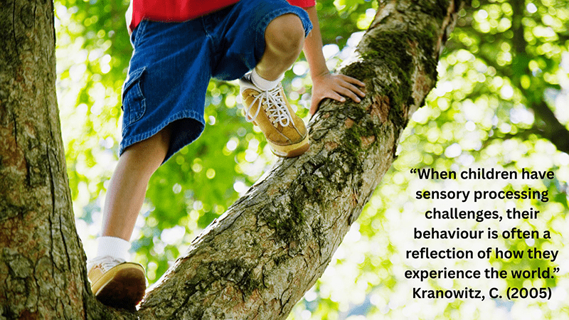 When children have sensory processing challenges, their behaviour is often a reflection of how they experience the world.