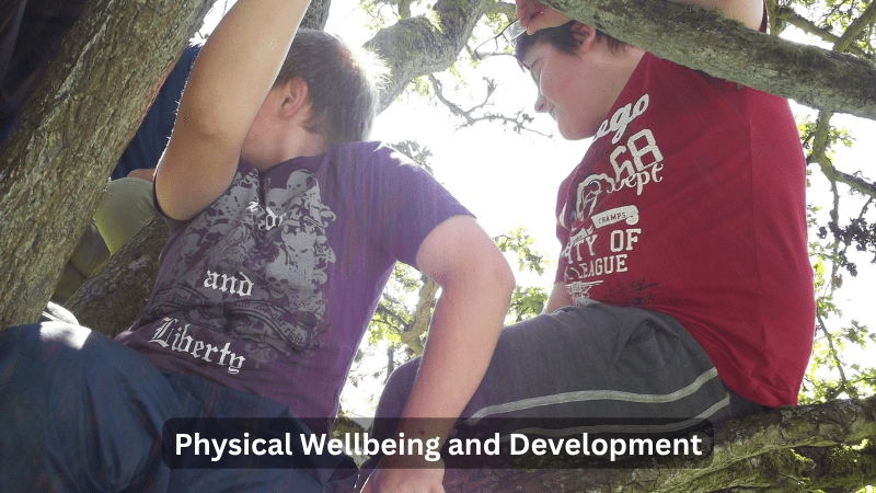 Physical Wellbeing and Development: two children in a tree