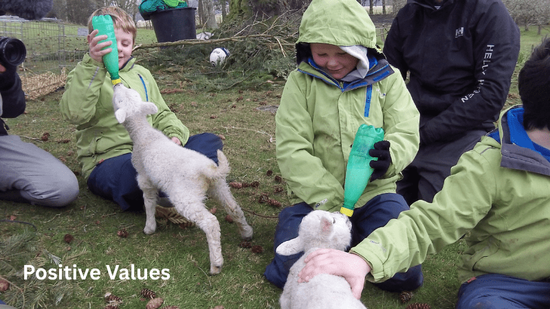 Positive Values - Children bottle feeding lambs 