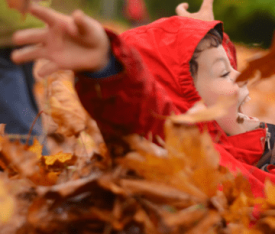 Child playing in leaf pile