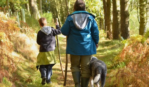 Nature Nurture in Practice - Child, adult and dog walk along a woodland path in the sunshine