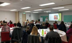 Consultancy and Training, about us