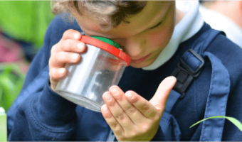 Nature Nurture Approach - Child examines a bug in a magnifier
